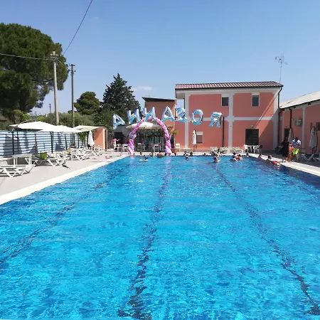 Due Delfini